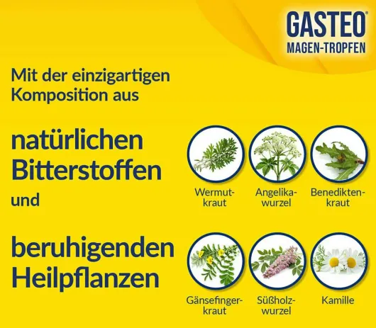 Gasteo Magen-Tropfen 20 ml