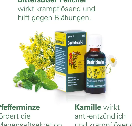 Gastricholan L Flüssig 2 X 50 ml Flüssigkeit