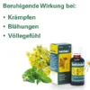 Gastricholan L 50 ml Flüssigkeit
