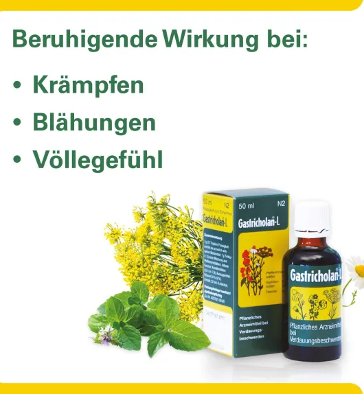 Gastricholan L 50 ml Flüssigkeit