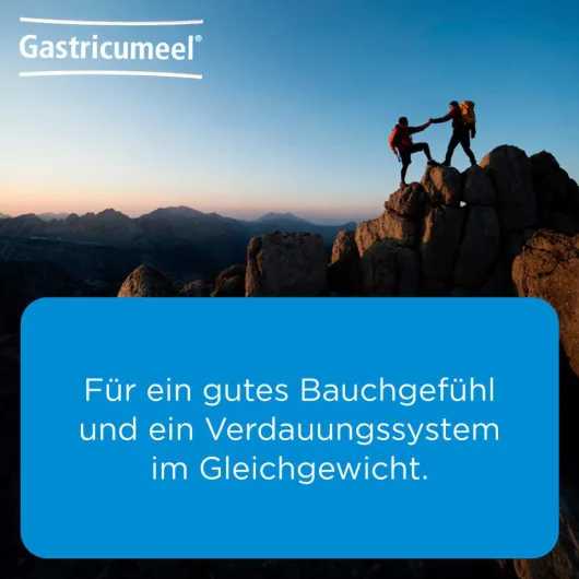 Gastricumeel 50 Tabletten