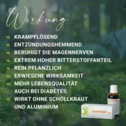 Gastritol Liquid Flüssigkeit zum Einnehmen 50 ml