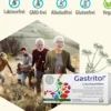 Gastritol 10 Lutschpastillen