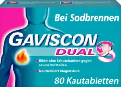 Gaviscon Dual 250 mg - 106,5 mg - 187,5 mg 80 Kautabletten