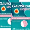 Gaviscon Liquid 500 mg-267 mg-160 mg Suspension 48 x 10 ml