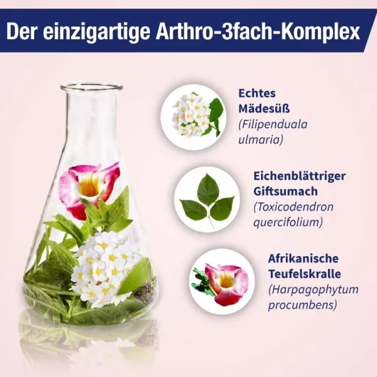 Gelencium Arthro Mischung 200 ml