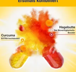 Gelencium Curcuma Plus 60 Kapseln