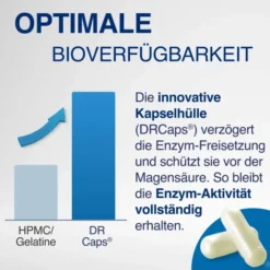Gelencium Enzym Complex 100 Kapseln