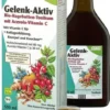 Gelenk Aktiv Bio-Hagebutten-Tonikum Salus 500 ml