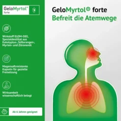 Gelomyrtol forte 3 x 100 Kapseln