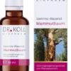 Gemmo Mazerat Kastanie Dr.Koll Castanea Vesca Tropfen 50 ml