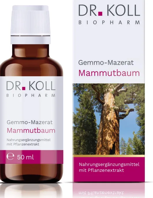 Gemmo Mazerat Kastanie Dr.Koll Castanea Vesca Tropfen 50 ml