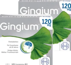 Gingium 120 mg 2 x 120 Filmtabletten