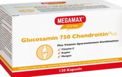 Glucosamin 750 Chondroitin Plus Megamax 120 Kapseln