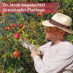 Granaimun Dr.Jacob s 100 ml Tropfen