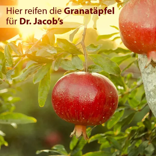 Granaimun Dr.Jacob s 100 ml Tropfen