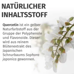 Green Naturals Quercetin 500 mg 180 Kapseln