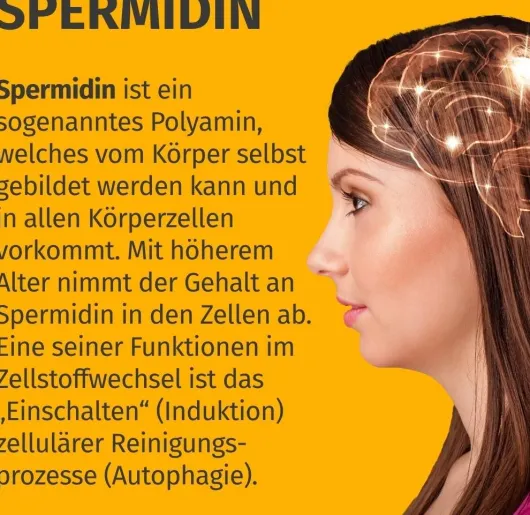 Green Naturals Spermidin Forte 6 mg vegan 100 Kapseln