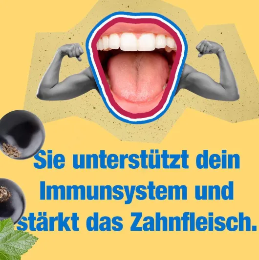Grether`s Pastilles Blackcurrant zuckerfrei Dose 110 g