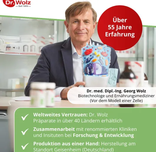 Grüntee Extrakt Dr.Wolz 120 Kapseln