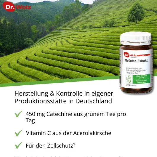 Grüntee Extrakt Dr.Wolz 120 Kapseln