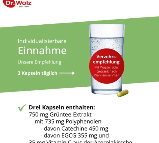 Grüntee Extrakt Dr.Wolz 120 Kapseln