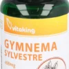 Gymnema Sylvestre 400 mg 90 Kapseln