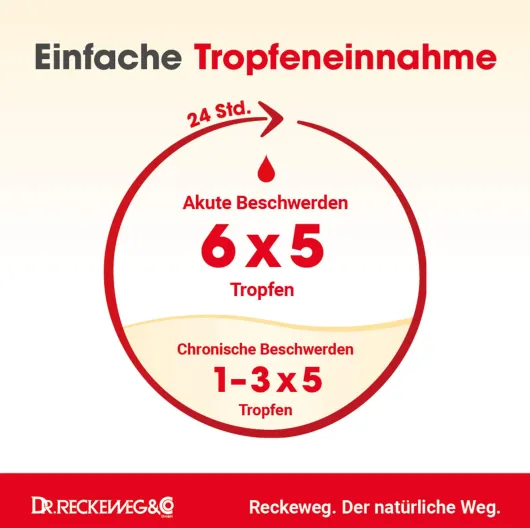 Haemorrhoid Gastreu N R 13 50 ml Tropfen