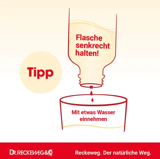 Haemorrhoid Gastreu N R 13 50 ml Tropfen