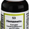 Hamamelis Komplex Nestmann Nr. 53 20 ml Dilution