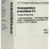 Harpagophytum Procumbens D6 Dhu 50 ml Dilution