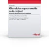 Heel Grandula Suprearenalis Suis-Injeel 10x1,1ml