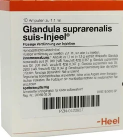 Heel Grandula Suprearenalis Suis-Injeel 10x1,1ml