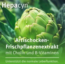 Hepacyn Artischocke 120 Filmtabletten