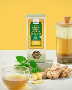 Herbaria Bio Tee Brennnessel Ingwer 45 g