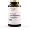 Hericium Extrakt 500 mg 100 Kapseln