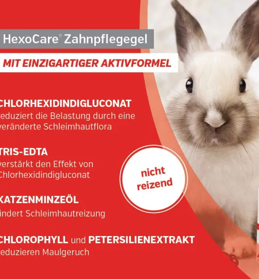 Hexocare Zahnpflegegel für Kleintiere 50 ml