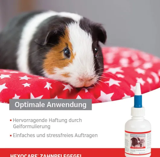 Hexocare Zahnpflegegel für Kleintiere 50 ml