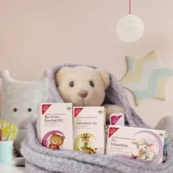 H&S Bio Baby und Kindertee Feines Bauchgefühl 20 Filterbeutel