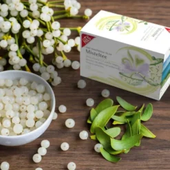 H&S Misteltee Mit Selen und Vitaminen 20 X 2 G Filterbeutel