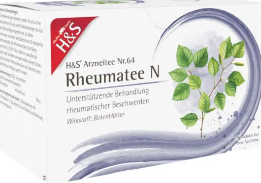 H&S Rheumatee N Filterbeutel 20 X 2 G
