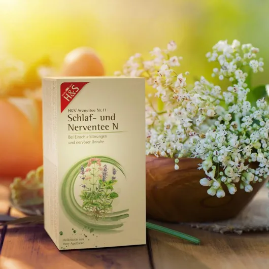 H&S Schlaf- und Nerventee N Filterbeutel