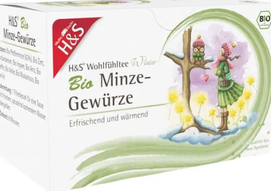 H&S Wintertee Bio Minze-Gewürze 20 X 2 G Filterbeutel