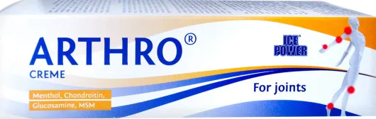 Ice Power Arthro Creme 60 G Creme