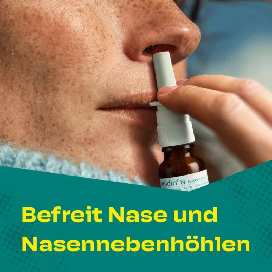 Imidin N Nasenspray 10 ml