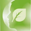 Imupret N Tropfen 100 ml