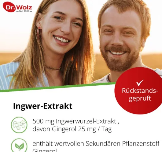 Ingwer Extrakt Dr. Wolz 120 Kapseln