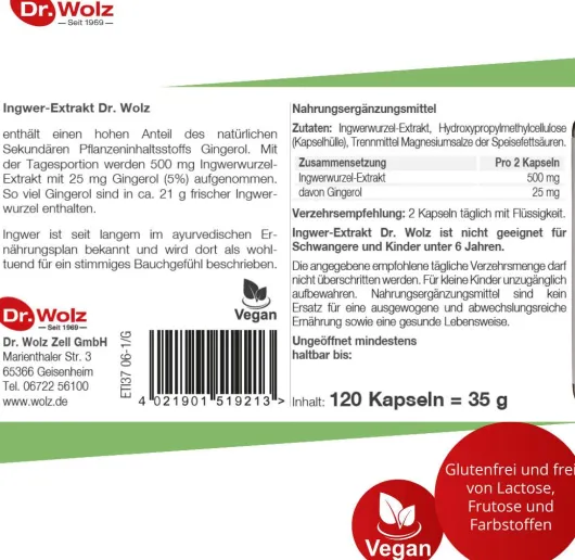 Ingwer Extrakt Dr. Wolz 120 Kapseln