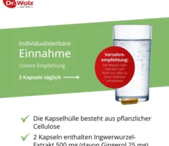 Ingwer Extrakt Dr. Wolz 120 Kapseln