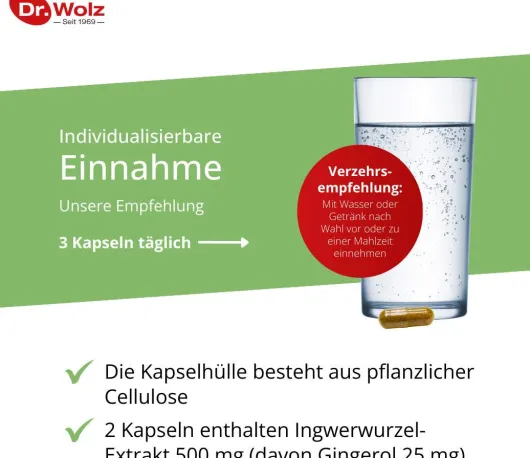 Ingwer Extrakt Dr. Wolz 120 Kapseln